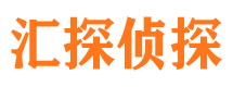 滨湖市侦探公司